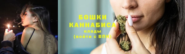 трава Слюдянка