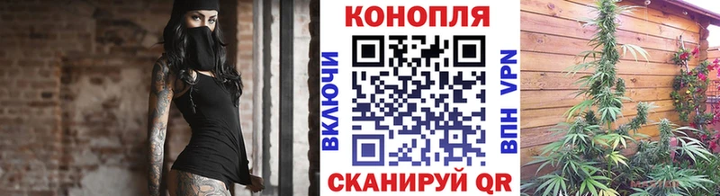 Конопля планчик  Орск 
